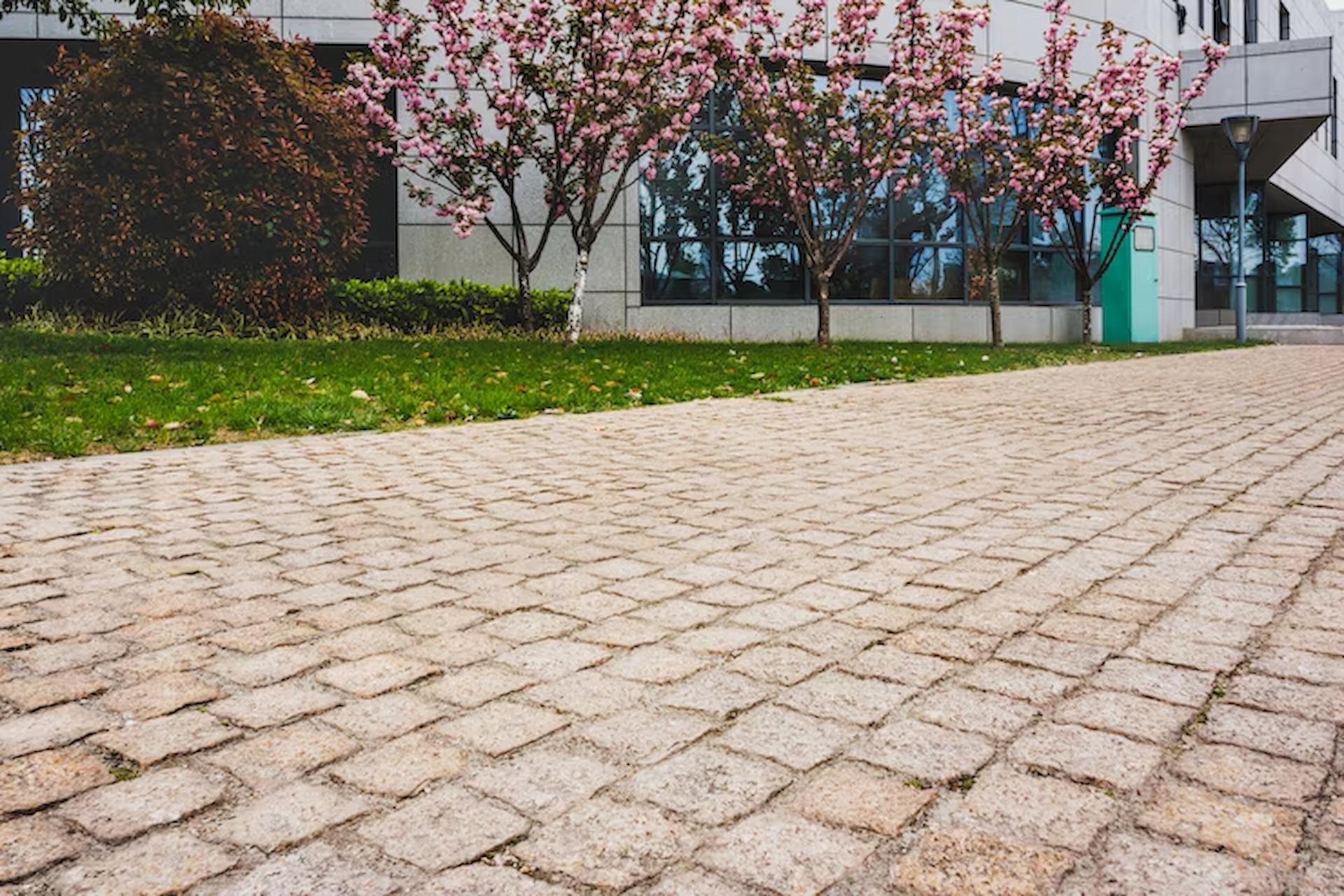 Driveway Paving